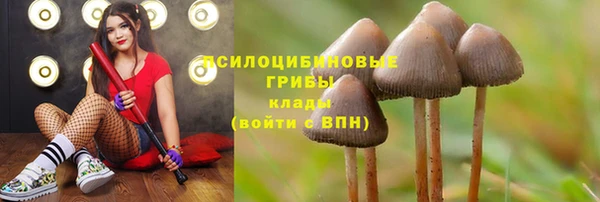 скорость Армянск