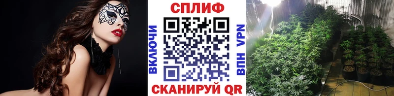 купить закладку  Питкяранта  Марихуана White Widow 